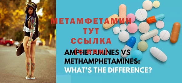 индика Вяземский