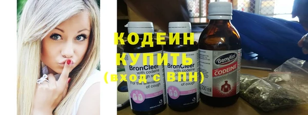 индика Володарск