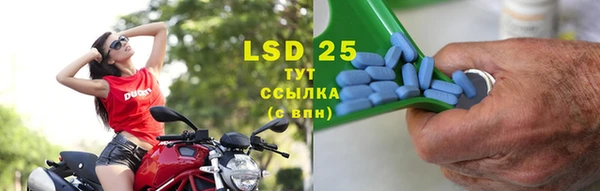 индика Володарск