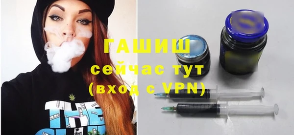 индика Володарск