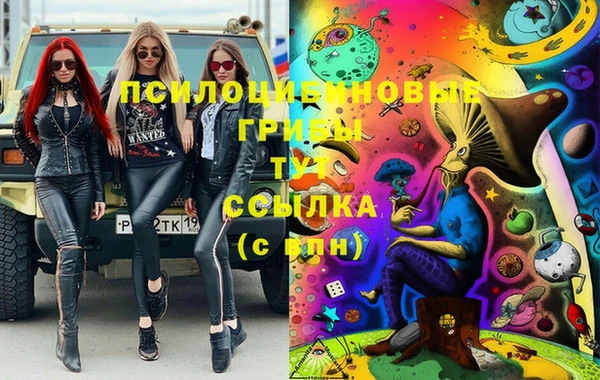 apvp Тобольск