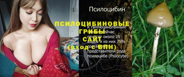 МДПВ Волосово