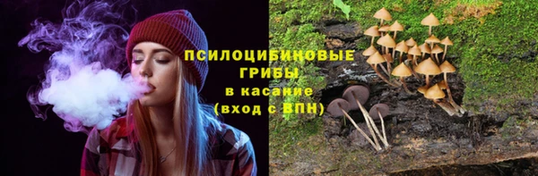 apvp Тобольск