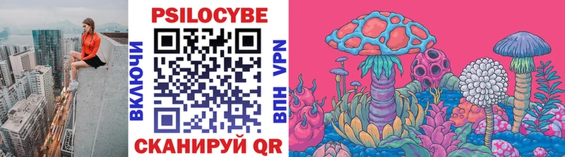 Купить закладки  Сурск  Галлюциногенные грибы прущие грибы 